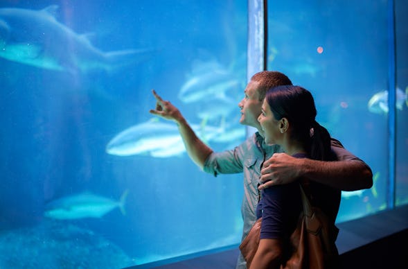 Frühstück & Sea Life München für 2