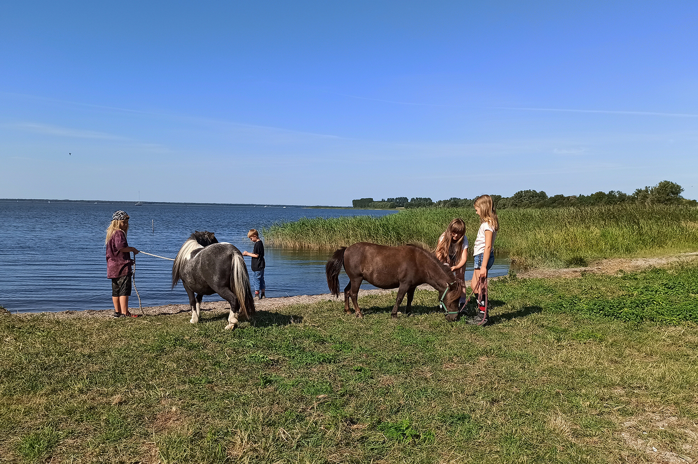 Pony Spaziergang Hirschburg