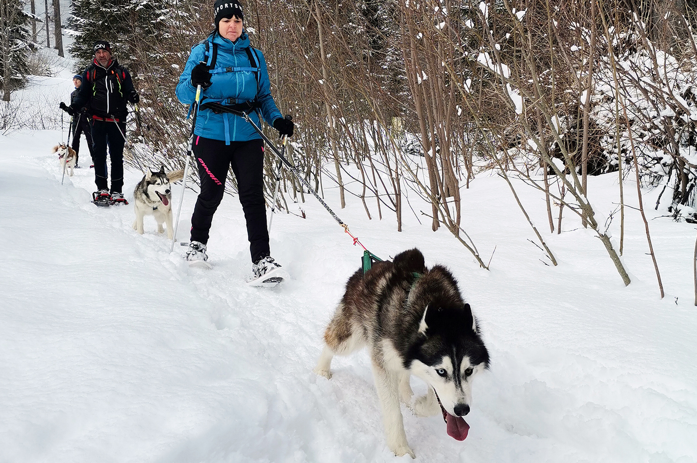 Husky Schneeschuhtrekking Postalm für 2